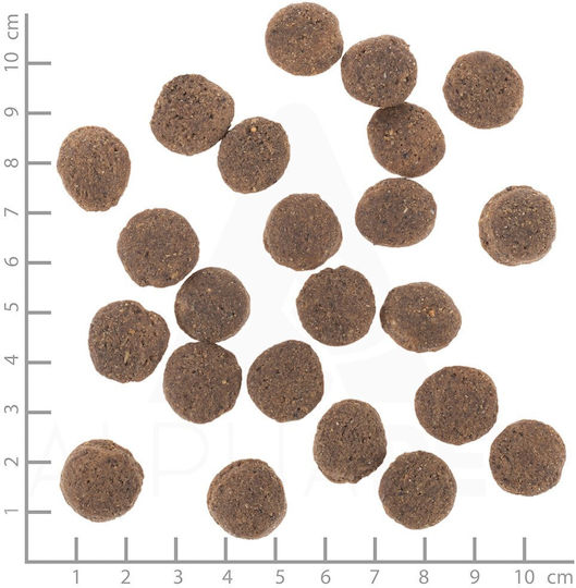 Wolfsblut 12kg Dry Food for Dogs with Meat