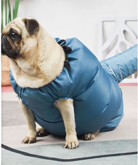 Animal Portable Dog Dryer Blue with Ridge 80cm