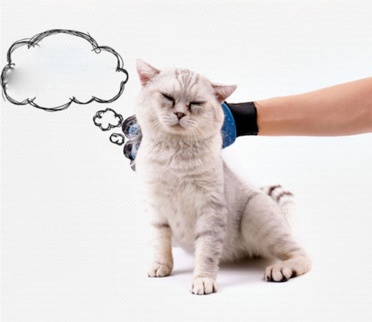 Glove Dogs for Coat Grooming Blue