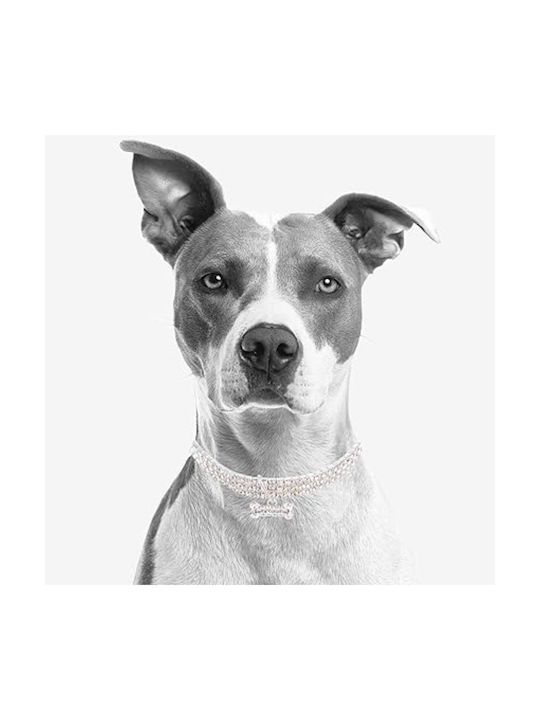 Animal Dog Collar in Silver color με Στρας Medium 25cm