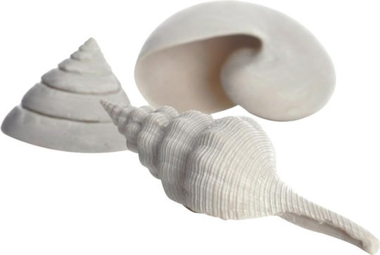 Oase Ενυδρείου Sea Shell Set 3 White