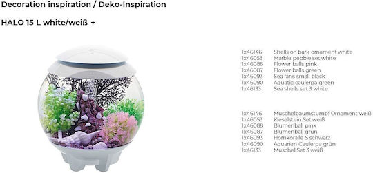 Oase Ενυδρείου Sea Shell Set 3 White