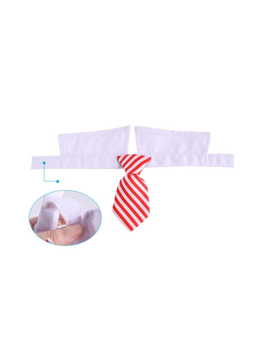 Pet Costume with Glasses | Back Length: 16cm