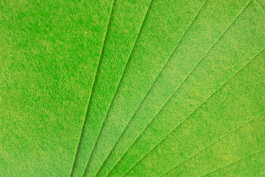 Decorative Paper Interdruk Filc Ynj Bright Green 8 Pieces Interdruk Galantry