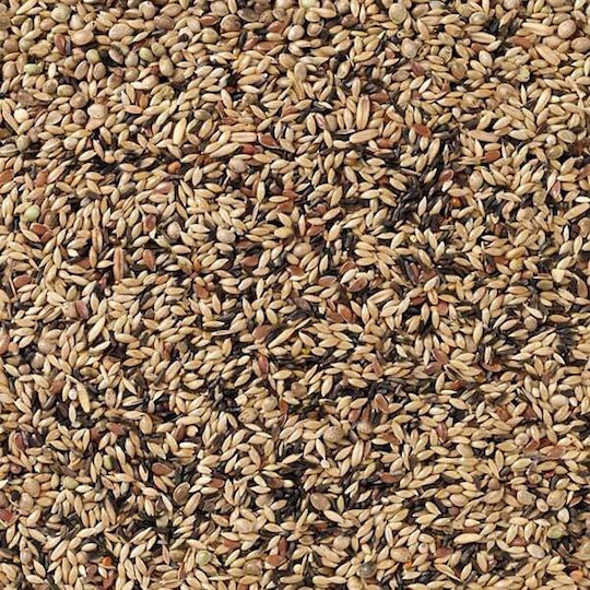 Deli Nature Hrană pentru Canare 20kg 006380