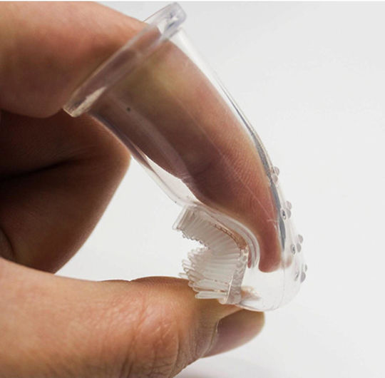 Animal Dog Toothbrush with Transparent Case