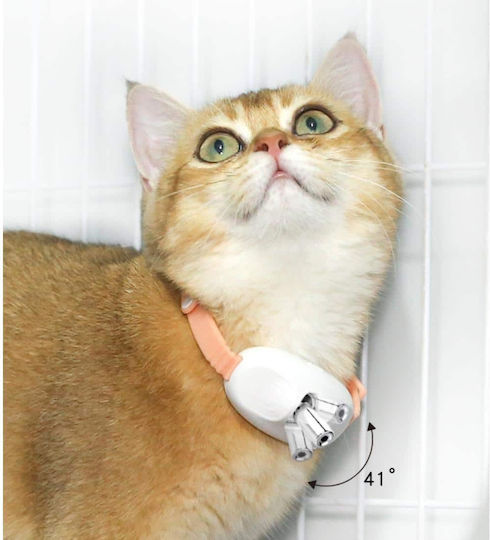 Animal Katzenhalsband