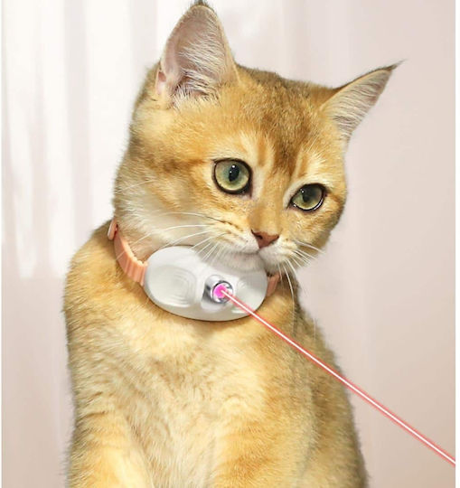 Animal Katzenhalsband
