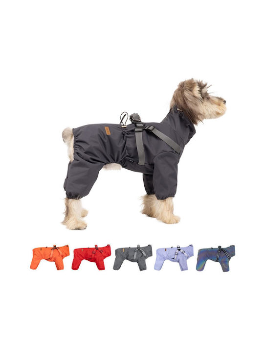 Ganzkörperbekleidung für Hunde Grau 21cm Länge Rücken: 21cm