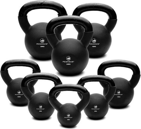 Kettlebell Neoprene 24kg 393100324