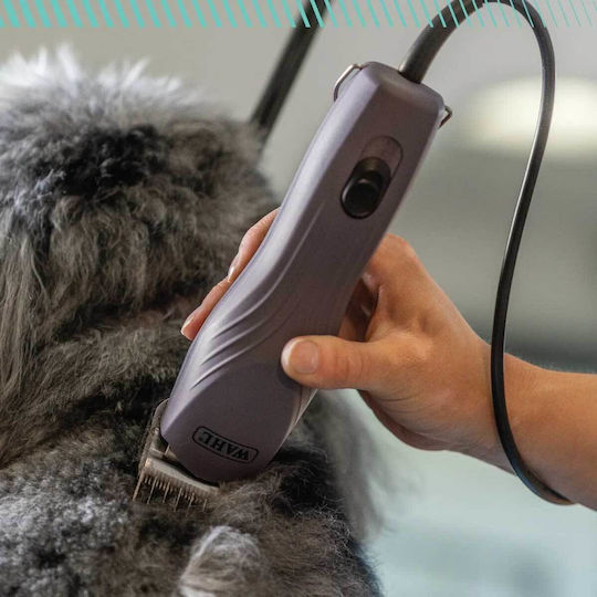 Wahl Professional Επαγγελματική Ανταλλακτική Λεπίδα Μωβ