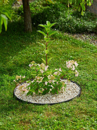Gardin Цветна Леха За Ограда На Градина От Пластмаса 100x7.5x7.8см