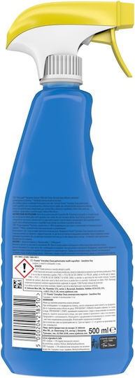 Pronto Allzweckreiniger Spray für Windows 500ml