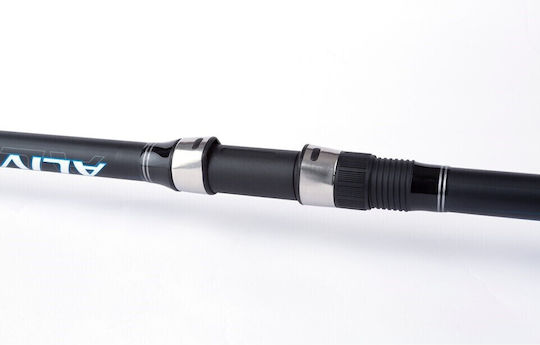 Shimano Alivio Gx Te Surf Καλάμι Ψαρέματος για Casting / Surf Casting 4.2m 170gr