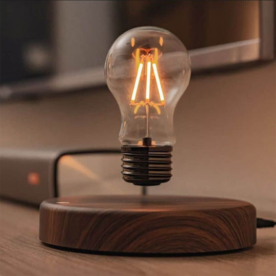 Lumină Decorativă