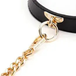 Collar In Gold Colour