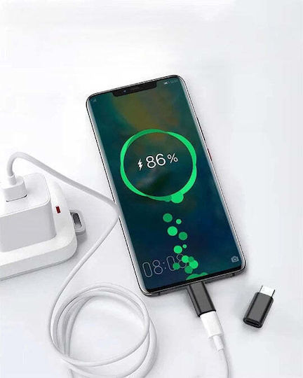 Μετατροπέας Lightning female σε USB-C male 1τμχ