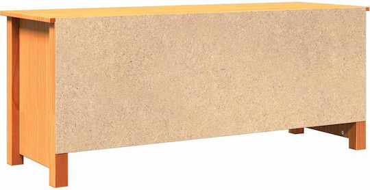 Παπουτσοθήκη από Μασίφ Ξύλο 110x38x45.5cm