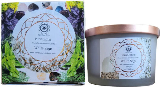 Green Tree Candle Company Σόγιας σε Βάζο Πράσινο Green Tree Candle Company Σόγιας σε Βάζο Πράσινο