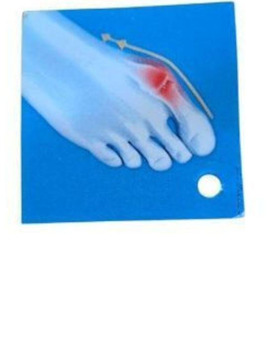 Anatomische Leder Damen Hausschuhe Sliders Beigen