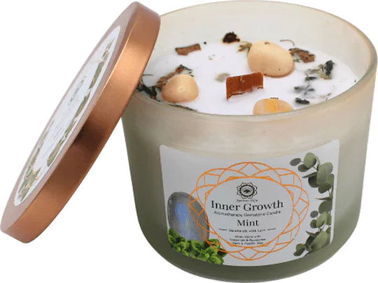 Green Tree Candle Company Aromatic Soy Candle in Green Jar 256g