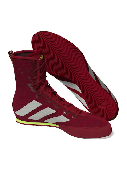 adidas Box Hog 4 adidas Box Hog 4