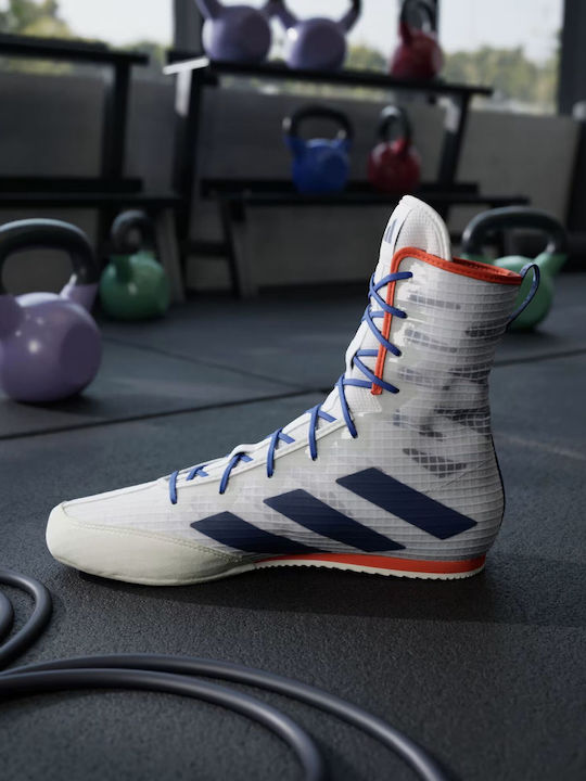 adidas Box Hog 4 Boxing Shoes White