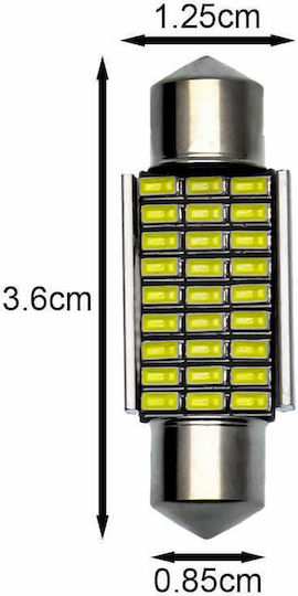 Rchang Car Lamp 36mm C5W Canbus LED 6500K Cold White 12V