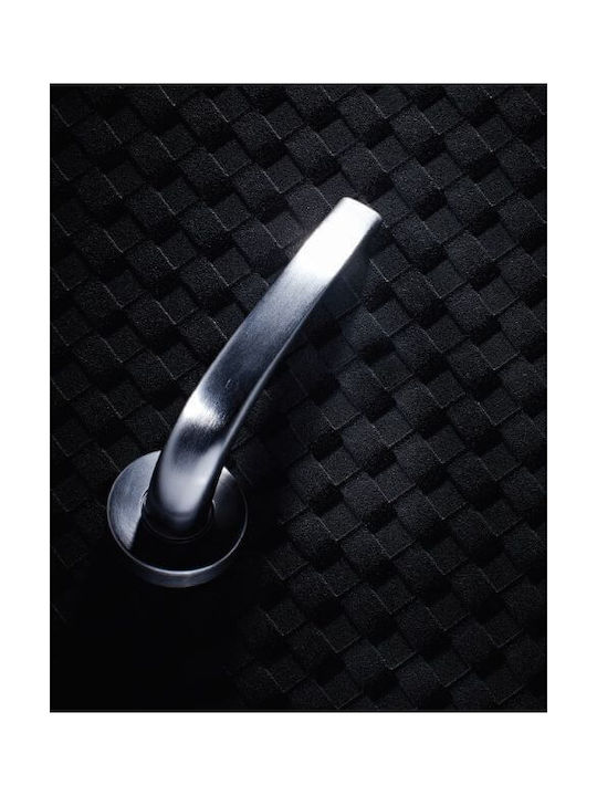 Zogometal Middle Door Matte Lever with Rosette for Both Sides Placement Silver Pair