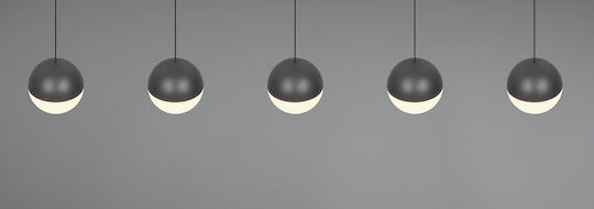 Trio Lighting Senta Gray Ceiling Light