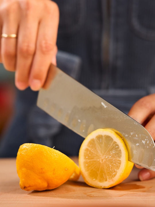 Wusthof Partner Μαχαίρι Santoku από Ανοξείδωτο Ατσάλι 17cm