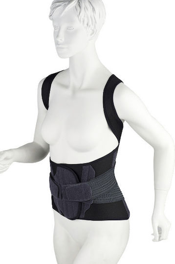 Medical Brace Th.o.m.s. Schiene Kofferraum