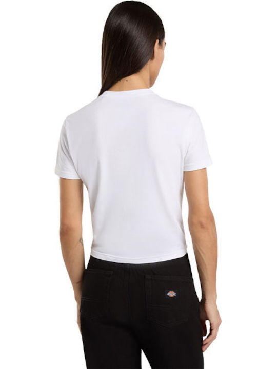 Dickies Dickies