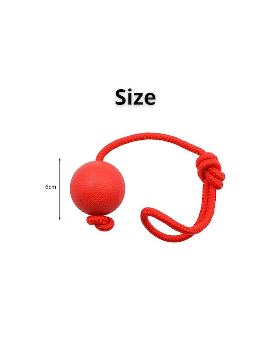 Uncle George Kugel Hundespielzeug aus Gummi 6cm Rote Uncle George Kugel Hundespielzeug aus Gummi 6cm Rote