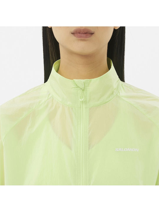 Women's Sports Waterproof Jacket Green