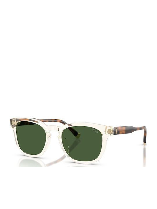 Polo Men's Sunglasses with Transparent Horn-Rimmed Frame and Transparent Lens 635771