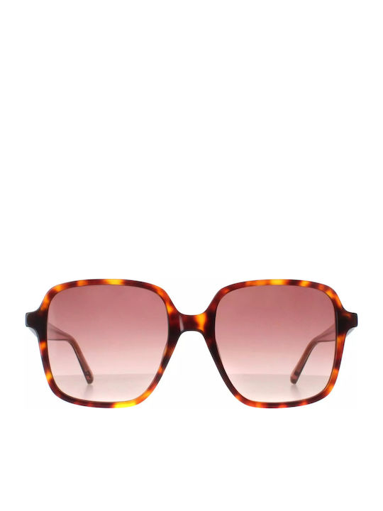 Ted Baker Feminini Ochelari de soare cu Negru Cadru și Roz Degrade Lentilă TB1688 100