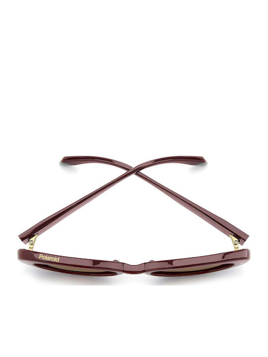 Polaroid Unisex Sunglasses With Red Horn-Rimmed Frame And Brown Lens PLD6253/S/X LHF/SP