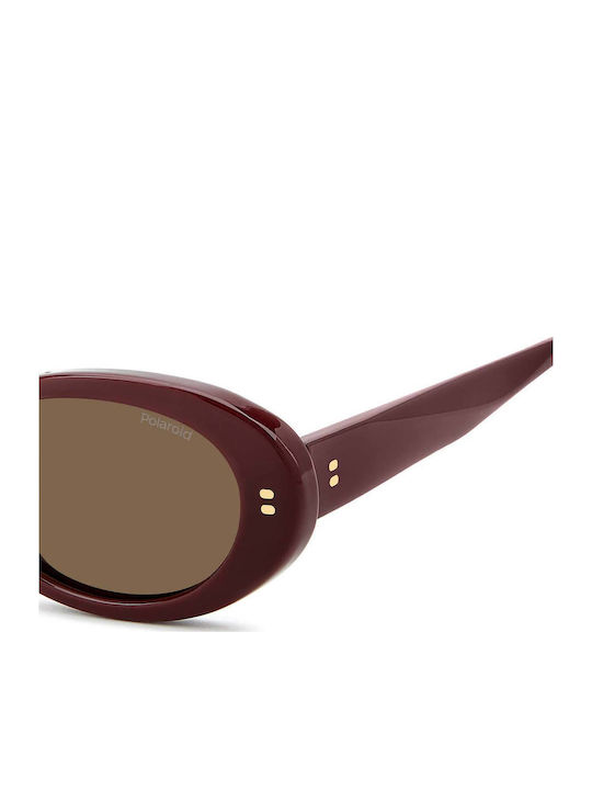 Polaroid Unisex Sunglasses With Red Horn-Rimmed Frame And Brown Lens PLD6253/S/X LHF/SP