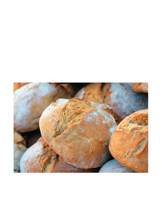 Ibili Καλάθι Ψωμιού από Rattan Μπεζ 25x8.5cm
