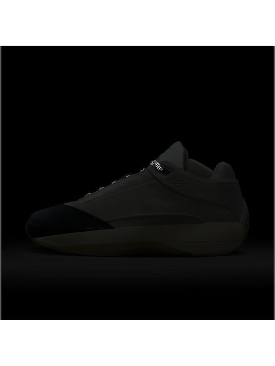 Air  40 Wolf Grey Low Basketball Shoes Photon Dust Flint Grey Wolf Grey