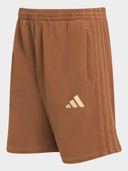 French Terry Sports Men's Bermuda Brown