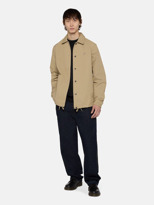 Dickies Dickies