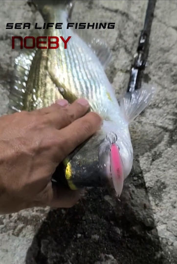 Noeby Τεχνητό Δόλωμα Ψαράκι (Minnow) 6.5gr 02