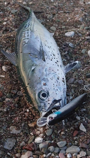 Noeby Τεχνητό Δόλωμα 23gr Χρώμα 176