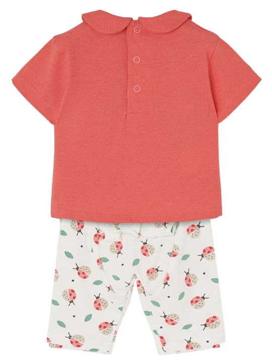 Boboli Boboli