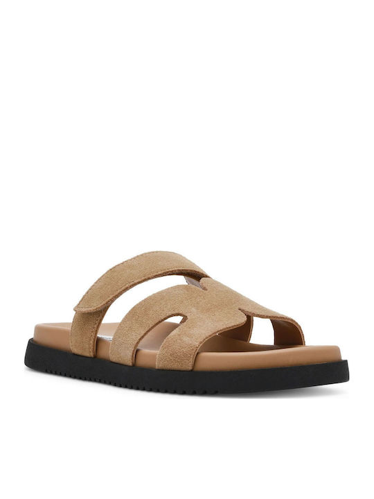 Steve Madden