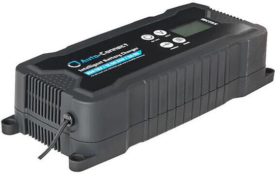 Auto-Connect Car Battery Charger 6/12/24V IBC25X