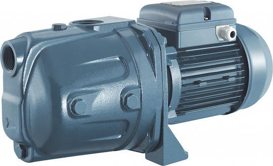 Pentax CAM100 Electric Surface Water Pump Centrifugal with Automatic Suction 1hp Single-Phase