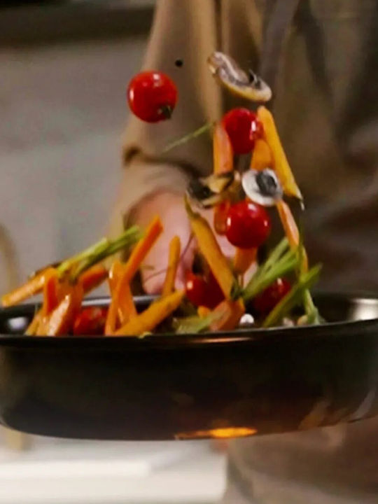 Tefal Excellence Pan from Aluminum with Ceramic Coating 24cm